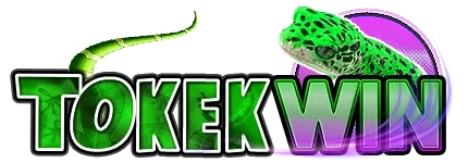 tokekwin — logo kanal